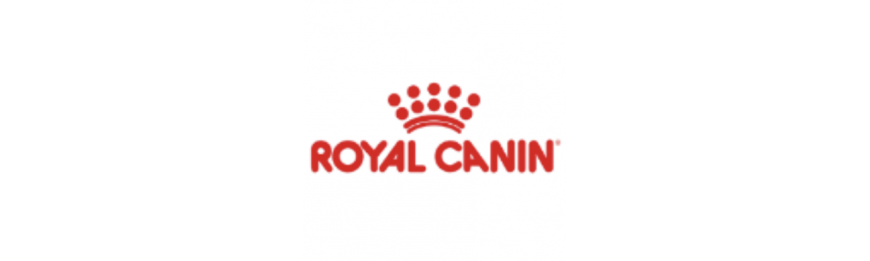 Royal Canin 法國皇家 金裝純種狗系列